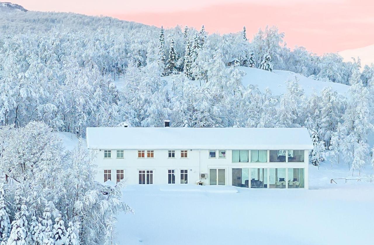 Aurora Borealis Observatory Silsand Exteriér fotografie